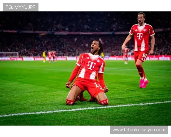 拜仁再创辉煌 欧冠征程见证王者风采