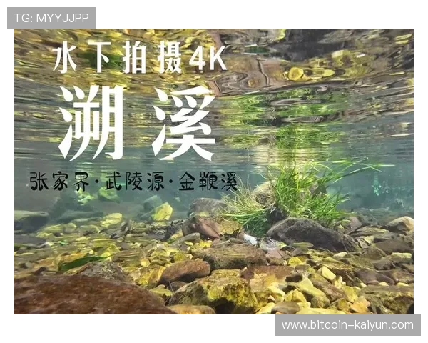 DJI最新水下拍摄技术与参数全面解析与应用指南