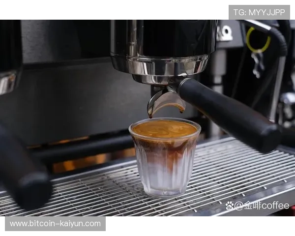 咖啡拉花技巧全解析从基础到进阶轻松掌握每一款艺术拉花的秘诀