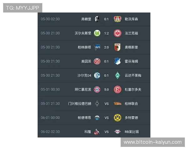 德甲最新战报与转会动态全面解析分析